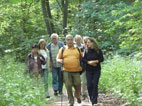 Wanderer von links: Marlene, Volkhard, Josef, Martin Streck, Brigitte L.