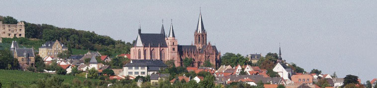 Blick auf die Stadt Oppenheim mit der alles überragenden Kirche