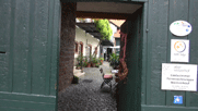 Blick durch ein Tor in einen Winzerhof: Gebäude, Pflanzen, Stühle