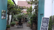 Blick in einen Winzerhof: viele Pflanzen, im Hintergrund Gebäude, Tische und Stühle