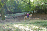 eine Frau auf einem Pferd führt einen Esel spazieren