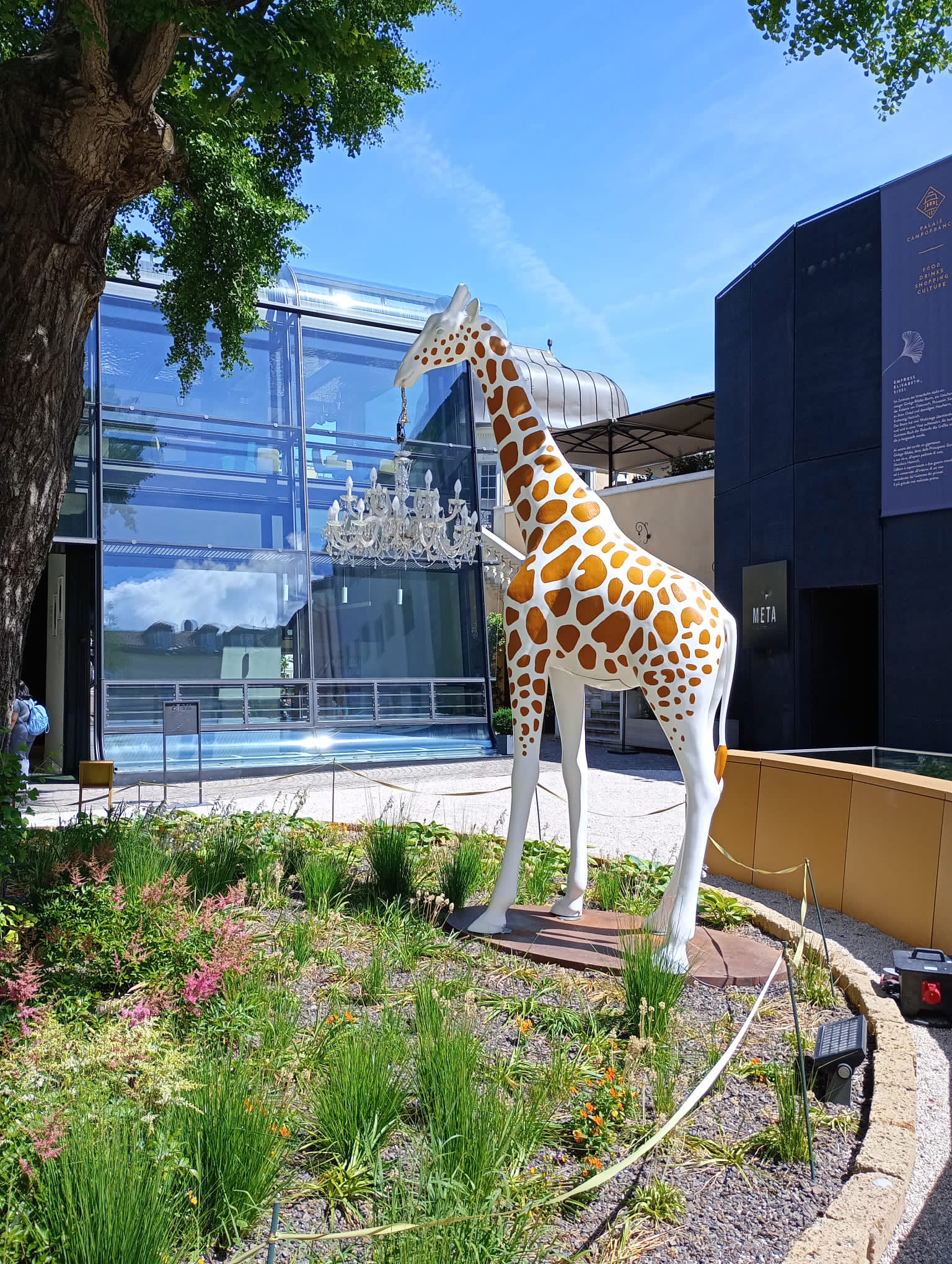 Giraffe
