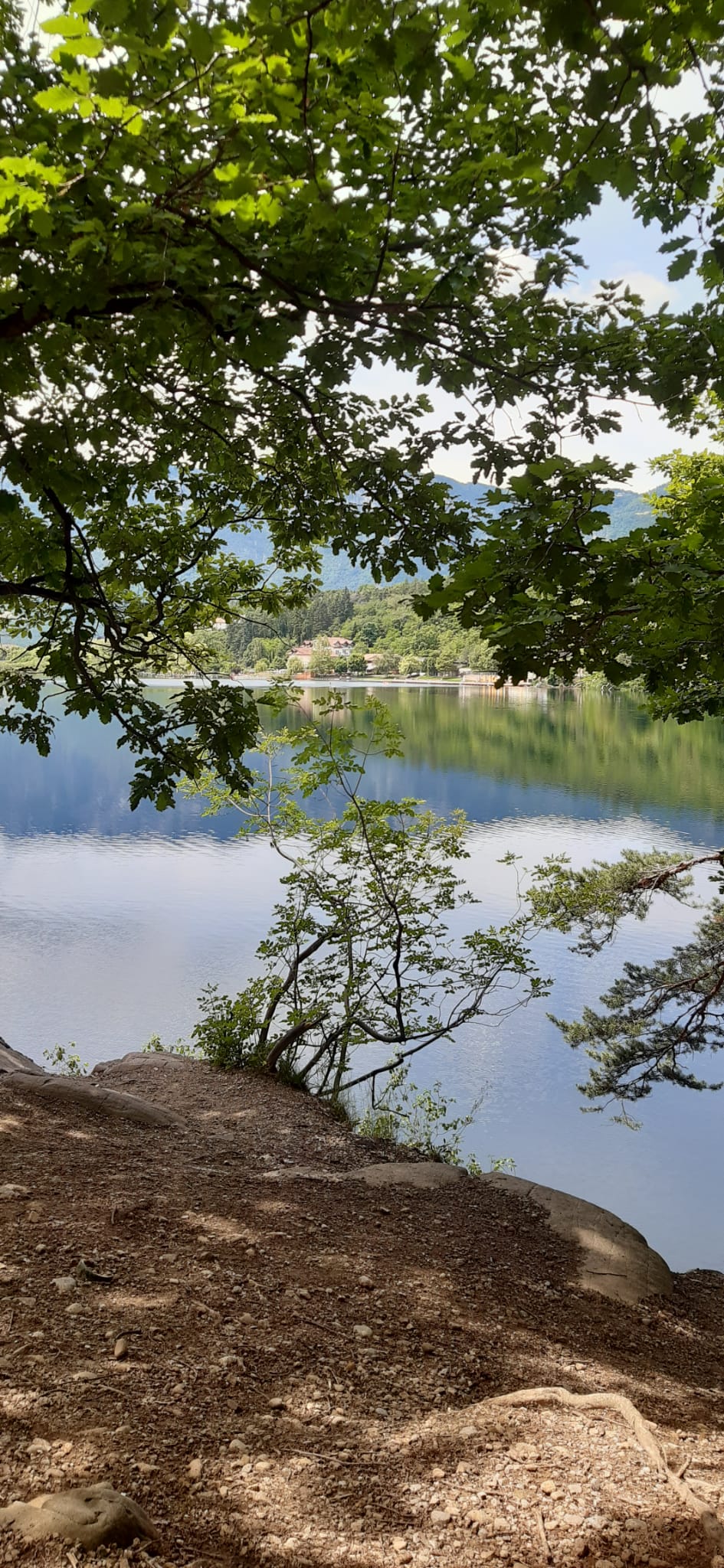 Montigglersee